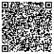 QR code 38933128000000