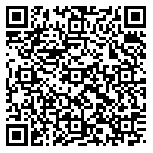 QR code 29036309000000
