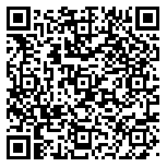 QR code 30089139500000