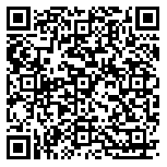 QR code 38378080500000