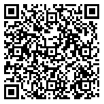 QR code 38132234600000