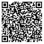 QR code 38678563100000