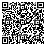 QR code 10138174500000