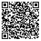 QR code 30061803800000