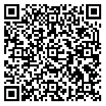 QR code 38336811100000