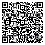QR code 29034133100000