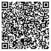 QR code 38556672000000