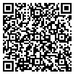 QR code 52281690900000