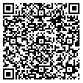 QR code 38096109600000