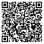 QR code 38010113000000