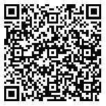 QR code 85272333900000