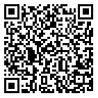 QR code 38559913900000