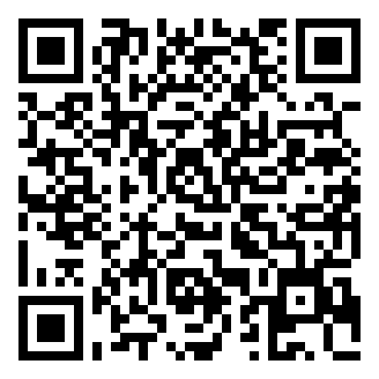 QR code 10065285700000