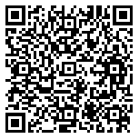 QR code 52039803000000