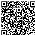 QR code 38136478700000