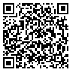 QR code 38585110700000