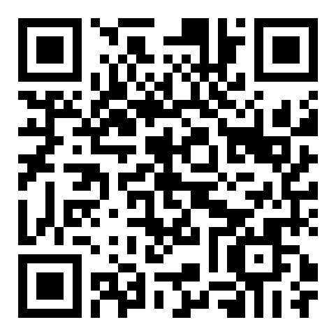 QR code 38210795700000