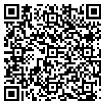 QR code 22205387500000