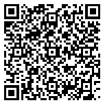 QR code 38172282100000