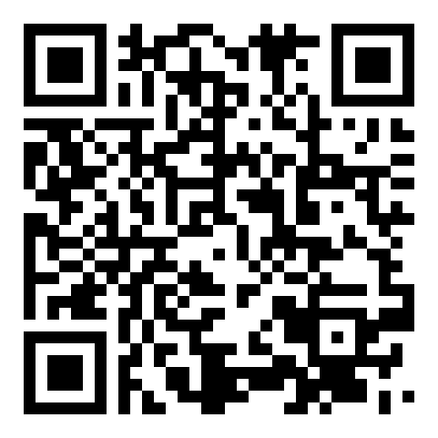 QR code 38337306900000