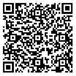 QR code 38594513300000
