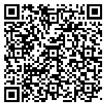 QR code 54161534600000
