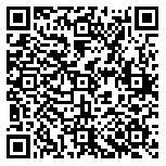 QR code 54391145100000