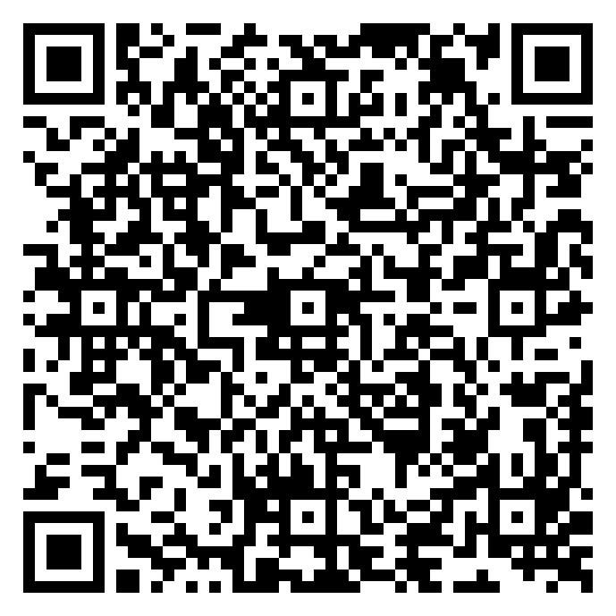 QR code 29129541000000