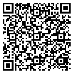 QR code 38483822800000