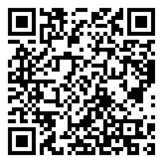 Pgzt QR code QR code 54210820300000