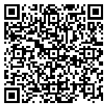 QR code 29138495700000