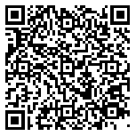 QR code 38580529000000