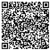 QR code 38233419100000