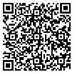 QR code 38203247800000