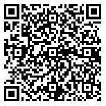 QR code 38156506600000