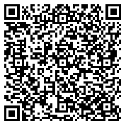 QR code 12028538900000