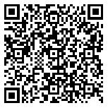 QR code 38299066000000