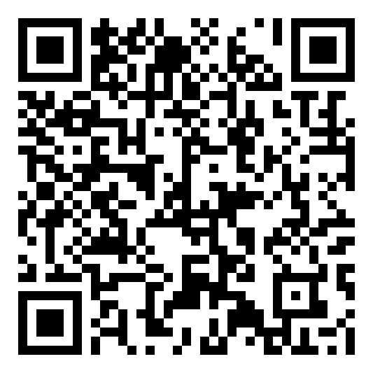 Praktika QR code QR code 52243441500000