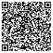 QR code 38206693900000