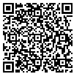 QR code 38171273900000