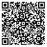 QR code 22202603900000