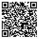 QR code 38867872100000