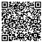 QR code 20065263000000