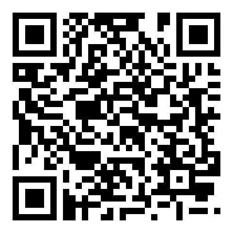 QR code 52313038000000