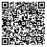 QR code 38106596100000