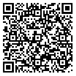 QR code 52035299500000