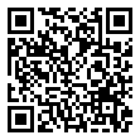 QR code 38482203200000