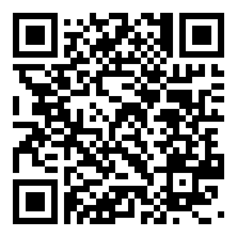 Scirb QR code QR code 52387274900000