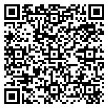 QR code 52063169500000