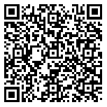 QR code 38287380600000